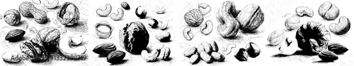 Nuts are depicted in sketch style food illustrations, which are hand drawn to create beautiful pictures