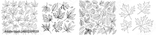 Create an illustration of autumn leaves, focusing on hand-drawn, vintage foliage elements, including isolated forest maple, oak, and rowan trees, highlighting botany and nature in a modern style,