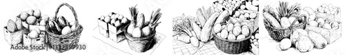 A modern set of hand-drawn illustrations of farm food arranged in a basket