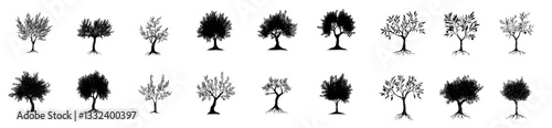 The image of old olive trees with leaves, cracked bark, and twisted branches on their trunks embodies the spirit of Mediterranean, Italian, and Greek cuisine, as well as organic olive oil production