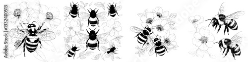A hand-drawn illustration set featuring a bee and flower in a sketch style, set against a black background, blending nature with modern vintage design elements