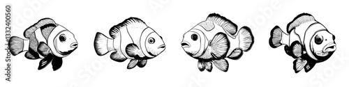 A modern illustration of clown reef fish, hand drawn and isolated on a white background
