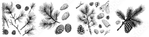 A sketch style compilation of monochrome branch illustrations, created with art ink, in black and white