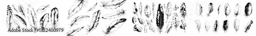 A hand drawn feather is accompanied by an engraved quill tattoo and an ink writing pen in a vintage drawing featuring old bird feathering silhouettes, including a goose or swan with a weightless