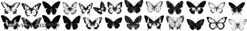 A collection of vintage-style butterflies and moths is presented in a set of outlined sketches featuring various flying insect species, with detailed retro line drawings and engraved hand-drawn