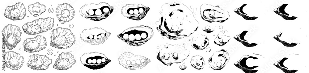 Modern illustration of a hand drawn sketch featuring seashells containing pearls, isolated on a background Modern illustration of a hand drawn sketch featuring seashells containing pearls, isolated on a background