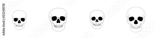 Modern illustration of a skull isolated on a transparent background