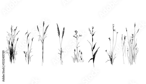 A variety of weeds and wild plants in fields and forests, suitable for architecture and landscape design, with a contour style