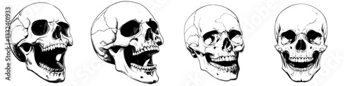 A detailed, hand-drawn illustration of a human skull is presented in an engraved style as an anatomical drawing