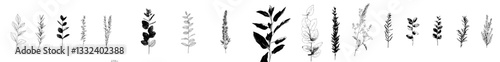 A collection of hand-drawn illustrations featuring native Australian flowers and plants, including golden wattle, protea, kangaroo paw, wax flower, and eucalyptus in a simple monochrome style