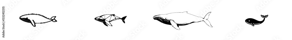 Whale outline illustration in isolation, coloring book page Whale outline illustration in isolation, coloring book page