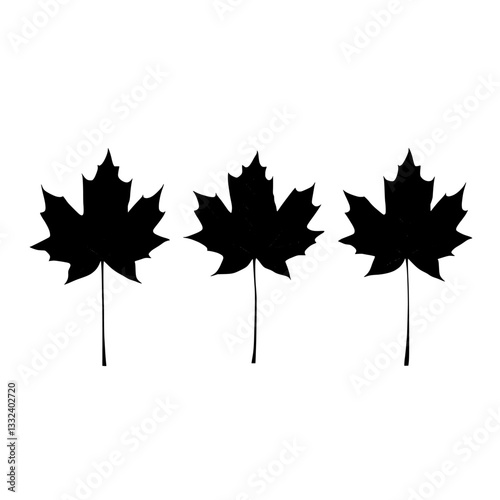 Silhouette Images of Tulip Poplar or Liriodendron Tulipifera Leaves