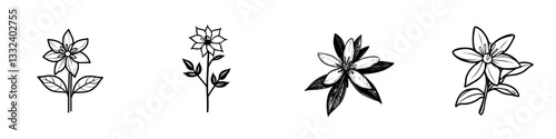 Passion flower outline drawing. A hand-drawn graphic line art. Modern botanical sketch perfect for package design, wrapping, tattoos, cards, and tags