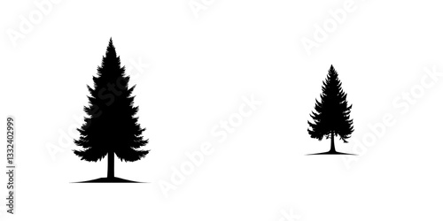 Silhouette of a pine tree, depicted in black and white, with layered branches that highlight its symmetrical and elegant form