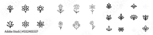 Decorative Edelweiss Rare Mountain Flower or Wildflower Illustration Clipart - Outline, Silhouette & Color