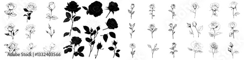 Modern illustration of a rose, featuring a black and white rose flower, is a simple yet elegant icon set for nature, gardening, love, and Valentine's day theme design elements