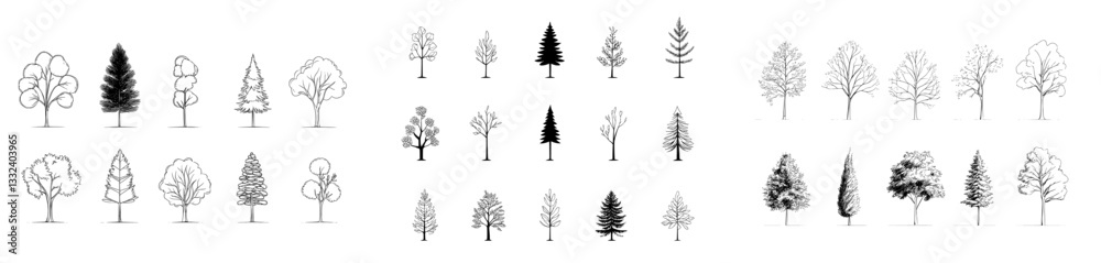 Beautiful set of tall coniferous trees depicted in a modern illustration