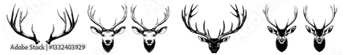 This illustration showcases elk or moose antlers drawn by hand set against a white backdrop, presented in a modern monochrome style reminiscent of vintage engravings, suitable for logos