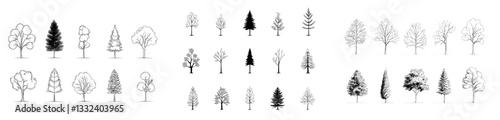 Beautiful set of tall coniferous trees depicted in a modern illustration