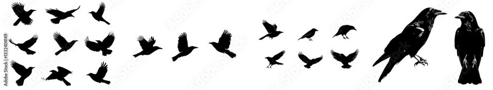 Six separate raven outlines on a white backdrop Six separate raven outlines on a white backdrop