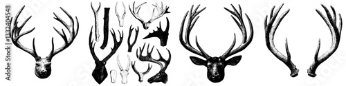 Detailed engraving of deer antlers or horns in black and white outline line art drawing