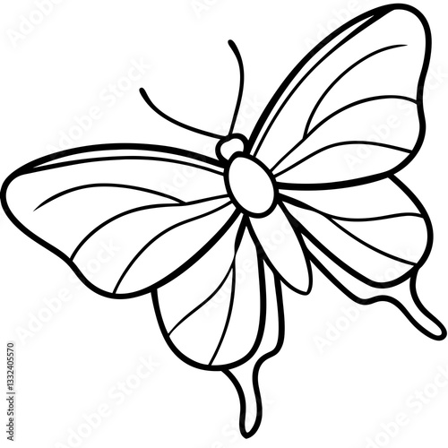 Delicate Sea Butterfly Line Drawing