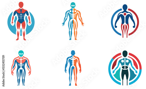 Anatomical Human Body Illustrations Set for Medical or Educational Use
