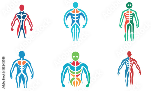 Anatomical Human Body Illustrations Set for Medical or Educational Use