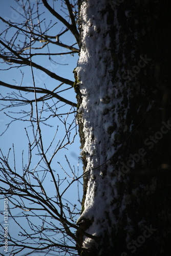 hiver 2024 Normandie