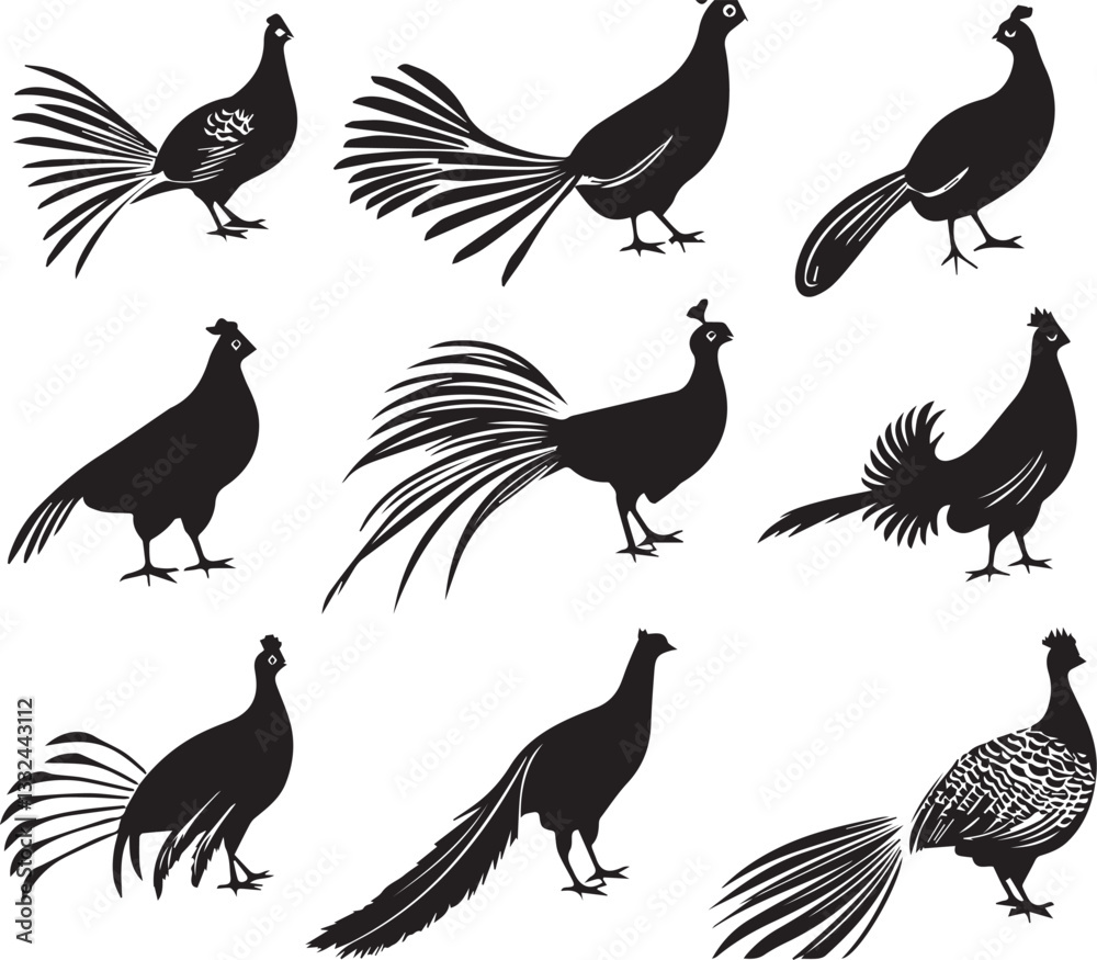 Pheasant Elegant Silhouette Vector on white background