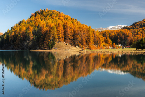 Obraz na płótnie Autumn in Switzerland - Grisons w salonie