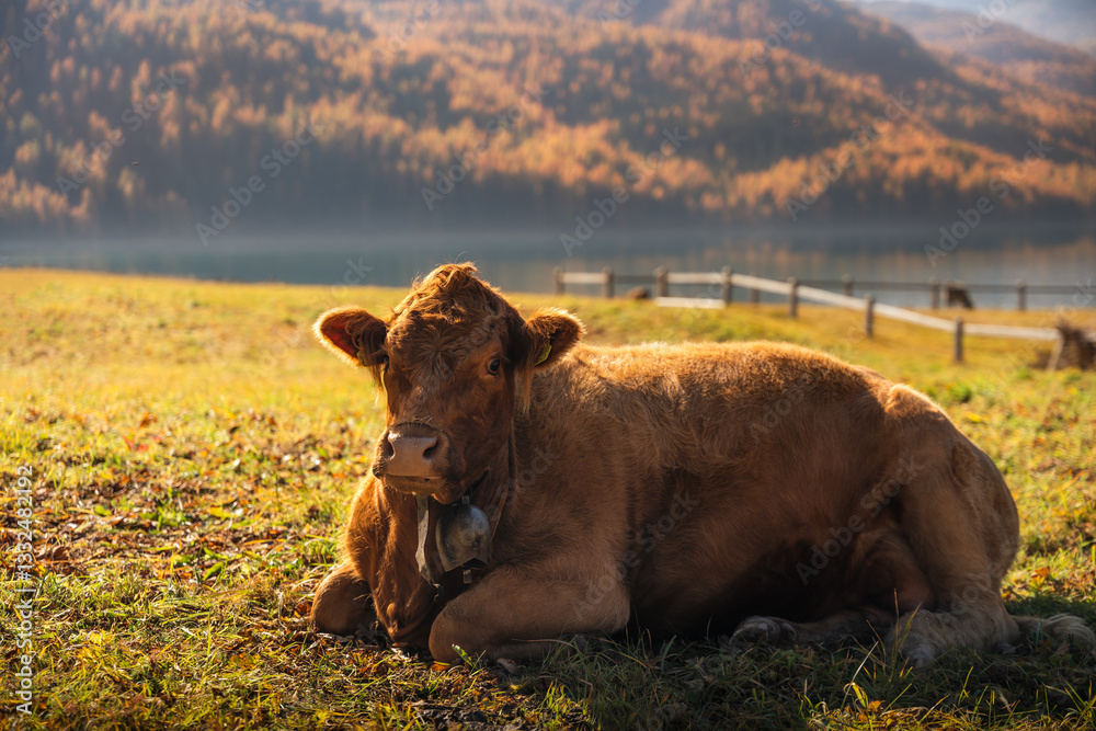 Autumn in Switzerland - Grisons