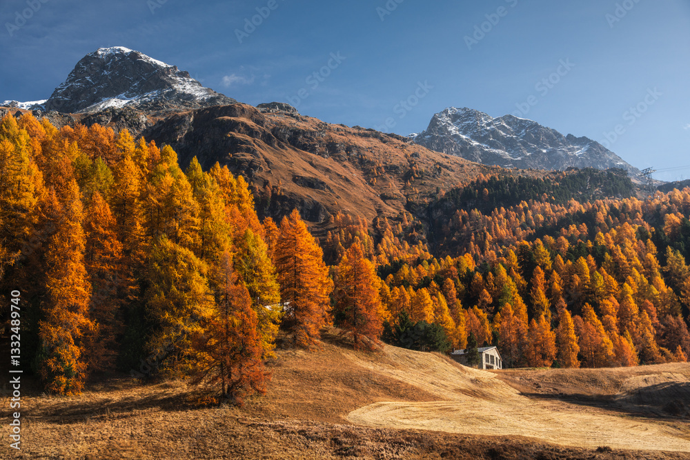 Autumn in Switzerland - Grisons