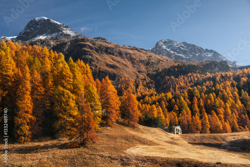 Autumn in Switzerland - Grisons
