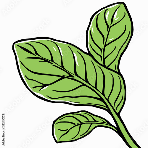 black outline vector of a fresh spinach leaf with veins and texture, symbolizing healthy greens and organic farming