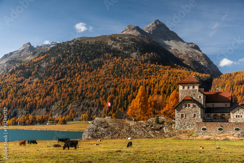 Obraz na płótnie Autumn in Switzerland - Grisons w salonie