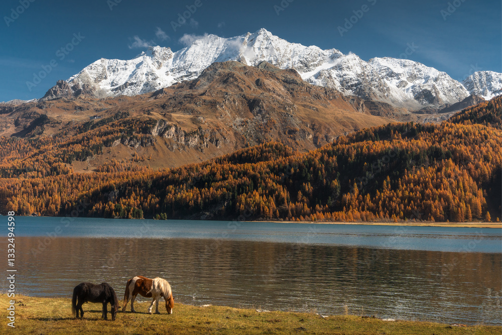 Autumn in Switzerland - Grisons