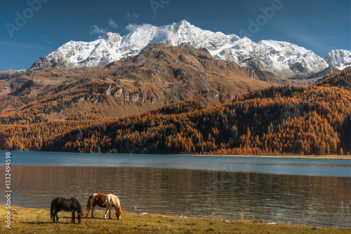 Autumn in Switzerland - Grisons