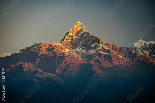 Golden Sunrise on Machapuchare (Fishtail Mountain) in the Annapurna Range, Himalayas, Nepal