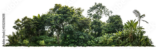 View of dense green forest tree canopy from below, showing lush foliage of tropical or rainforest trees against bright sky background in nature setting