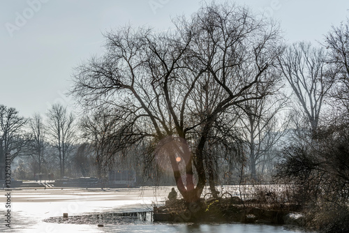 Obraz na płótnie big tree on shore at frozen Max-Eyth-See lake, Stuttgart, Germany w salonie