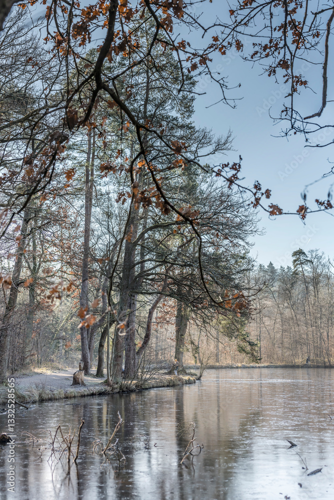 thin ice on frozen lake in winter forest, Stuttgart, Germany