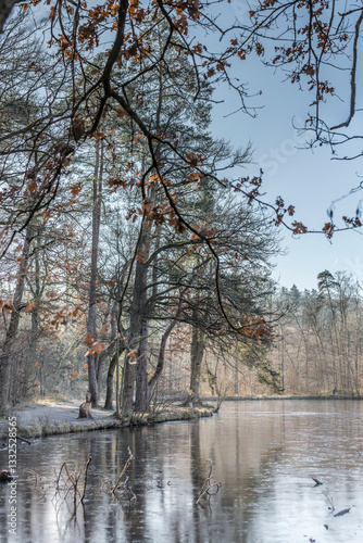 Obraz na płótnie thin ice on frozen lake in winter forest, Stuttgart, Germany w salonie