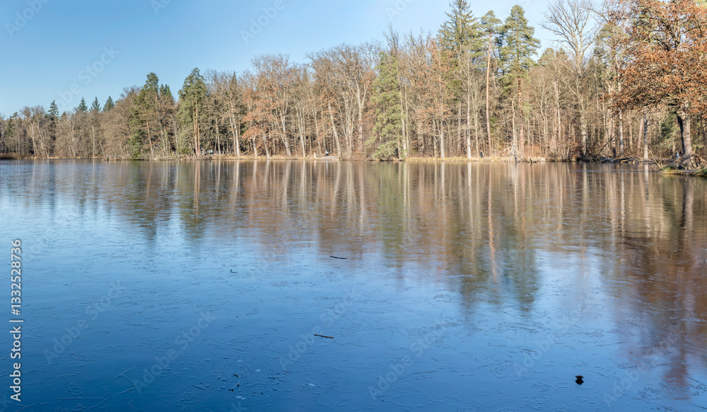 trees on shore and thin ice on frozen lake in winter forest, Stuttgart, Germany