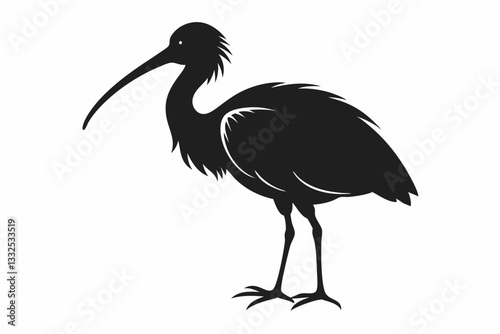 Canvas Print ibis line art silhouette vector illustration