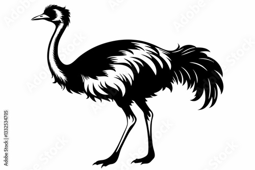 ostrich line art silhouette vector illustration