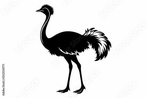 ostrich line art silhouette vector illustration