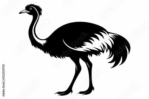 ostrich line art silhouette vector illustration