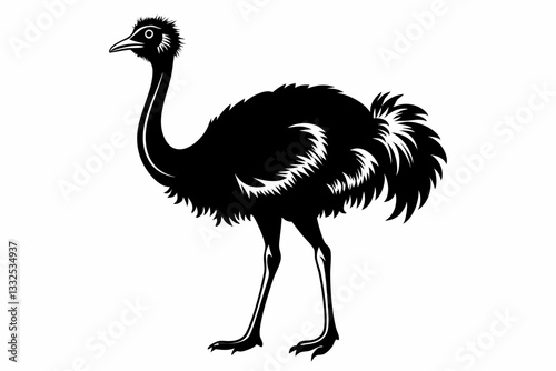 ostrich line art silhouette vector illustration