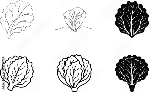 Lettuce Leaf Illustrations Line Art, Black, White, Vegetable Icons
